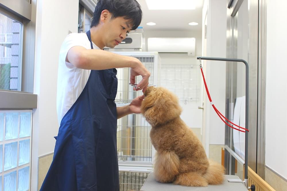 施術の様子