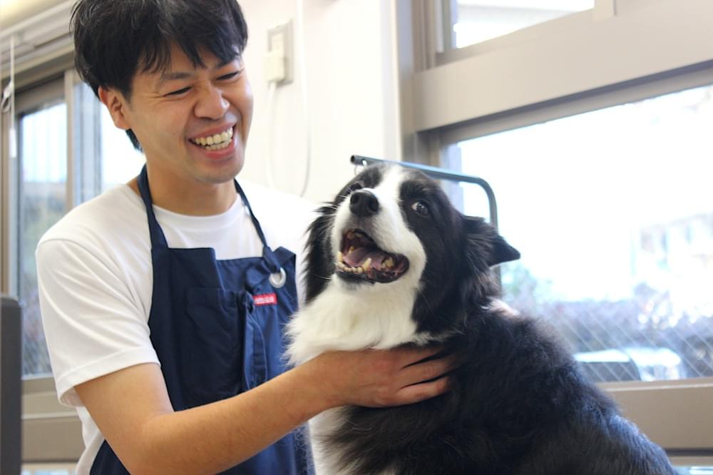 施術の様子