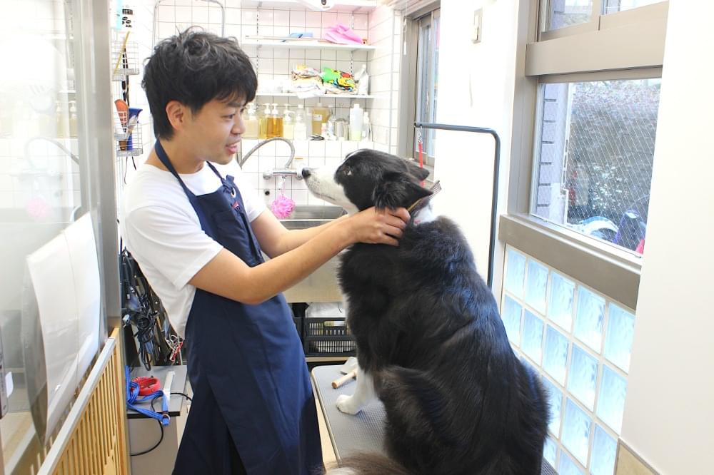 施術の様子